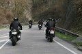 Thumbs/tn_2010.04.10 129.jpg